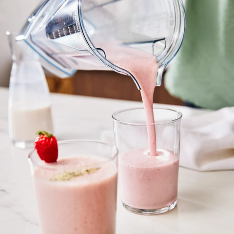 Vitamix VX1 Blender