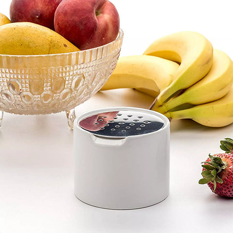 Fruit Fly Trap