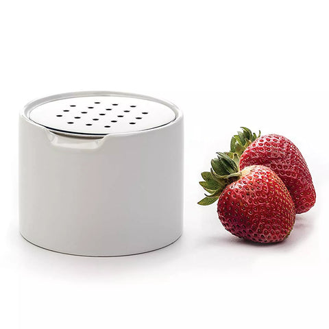Fruit Fly Trap