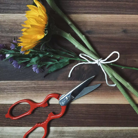 Zwilling J.A. Henckels Red Multi-Purpose Stainless Steel Kitchen Shears