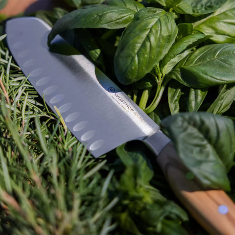 Wüsthof Amici Santoku, 7"