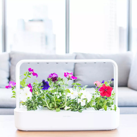 Click And Grow Smart Garden 9