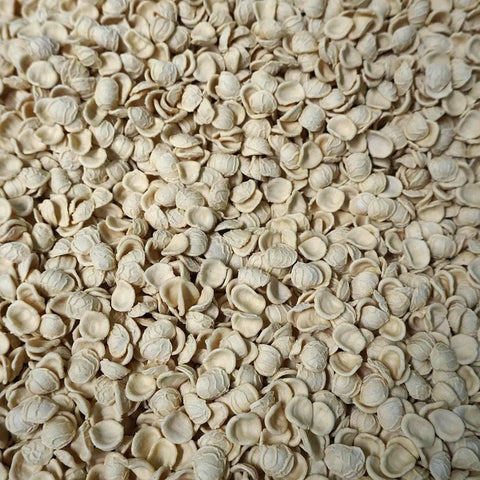 Morelli Orecchiette Pasta