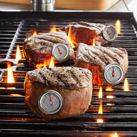 Sur La Table Stainless Steel Steak Button Thermometers
