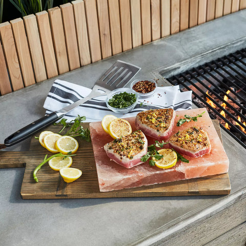 Sur La Table Himalayan Salt Block