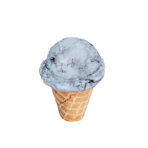 Sur La Table Blueberry Cobbler Ice Cream Starter